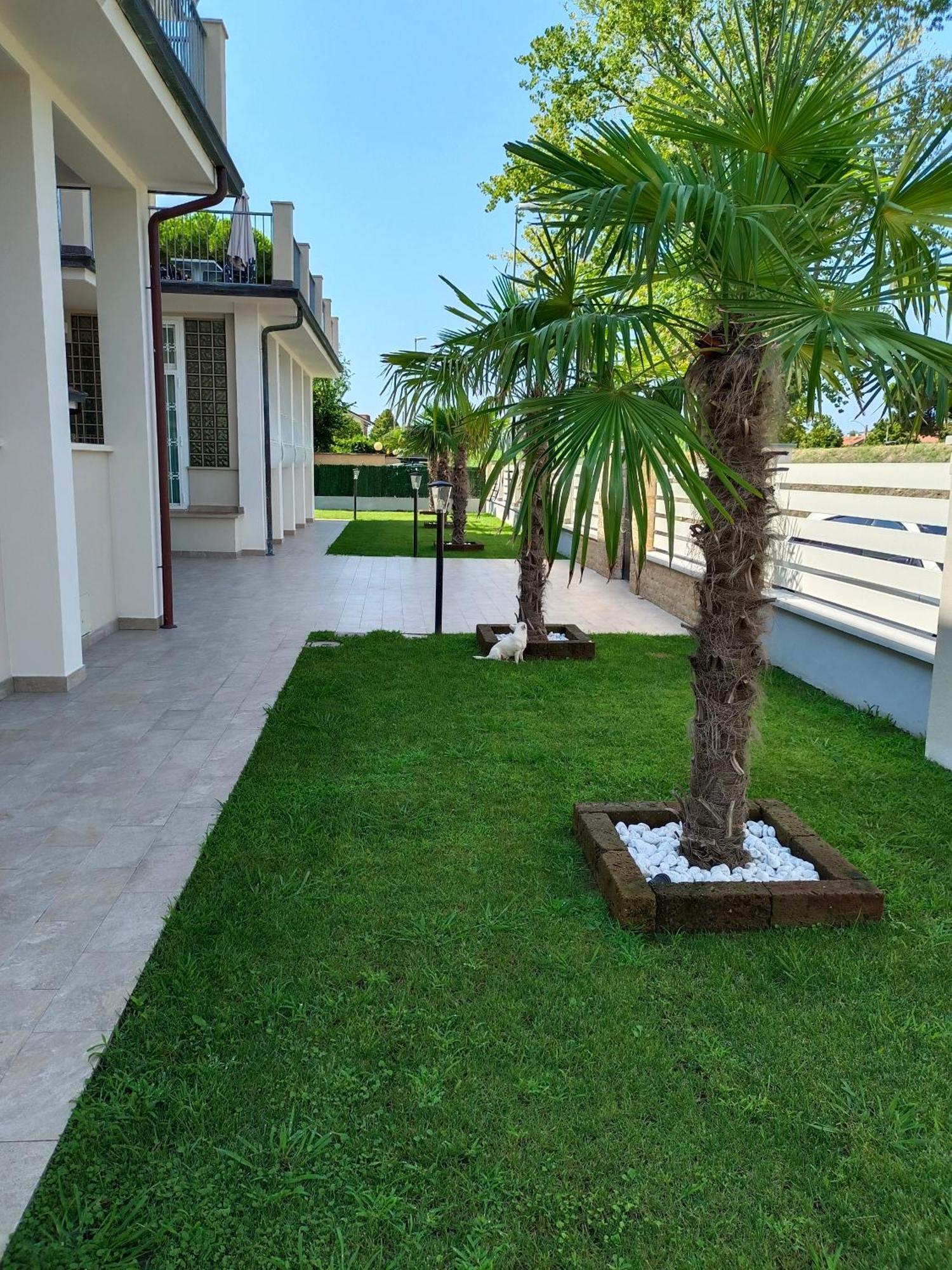 Residence Deamarina Marina di Massa Eksteriør bilde